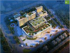 惠州市中心人民医院博罗分院（博罗县人民医院）2026年招聘